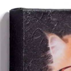 Discount Kirklands Home Pippa the Cat Canvas Art Print