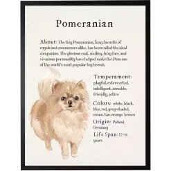 New Kirklands Home Pomeranian Facts Framed Wall Plaque
