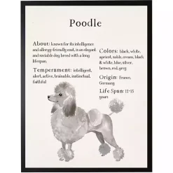 Outlet Kirklands Home Poodle Facts Framed Wall Plaque