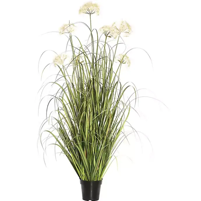 Clearance Kirklands Home Potted Flowering Grass, 36 in.