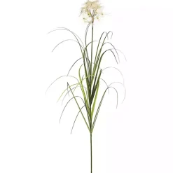 Clearance Kirklands Home Potted Flowering Grass, 36 in.