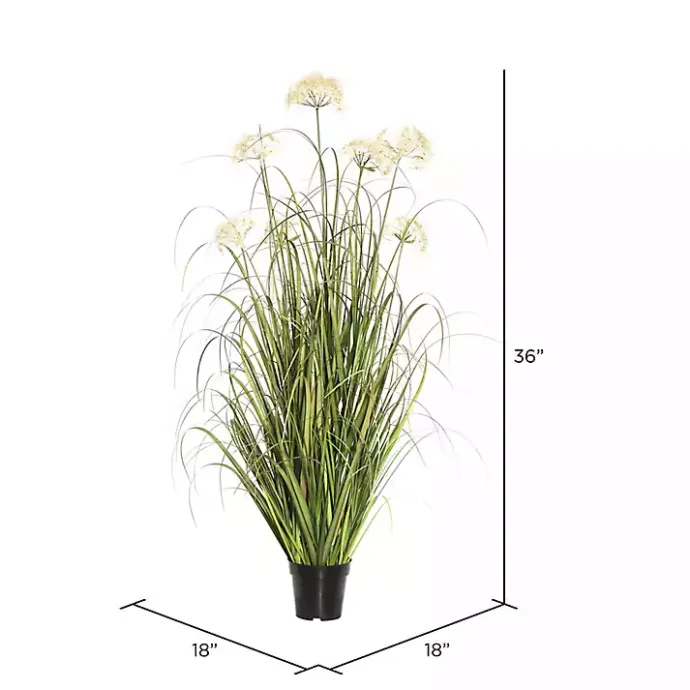 Clearance Kirklands Home Potted Flowering Grass, 36 in.
