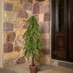 Sale Kirklands Home Potted Soft Touch Norfolk Pine Tree, 48 in. Green