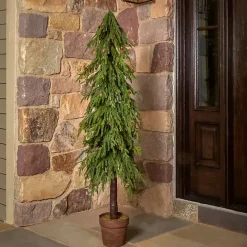 Sale Kirklands Home Potted Soft Touch Norfolk Pine Tree, 60 in.