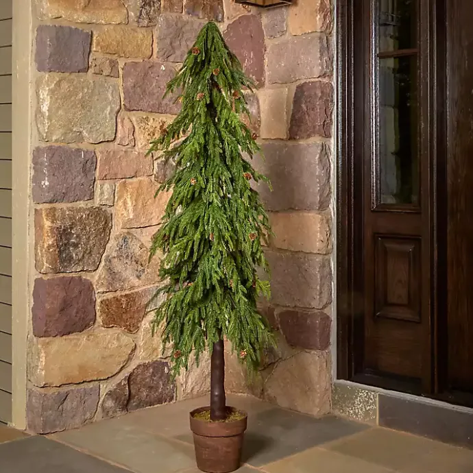 Sale Kirklands Home Potted Soft Touch Norfolk Pine Tree, 60 in.