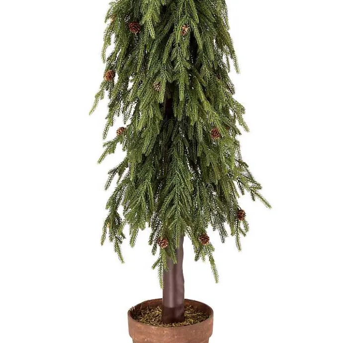 Sale Kirklands Home Potted Soft Touch Norfolk Pine Tree, 60 in.