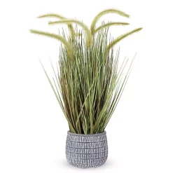 Online Kirklands Home Prairie Grass in Pot
