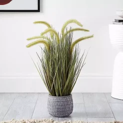 Online Kirklands Home Prairie Grass in Pot