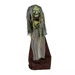 Discount Kirklands Home Pre-Lit Animated Shrouded Witch Outdoor Decoration