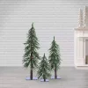 Best Kirklands Home Pre-Lit Assorted Alpine Christmas Trees, Set of 3