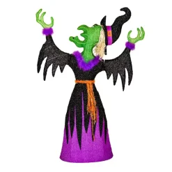 Best Kirklands Home Pre-Lit Cackling Witch Outdoor Decoration