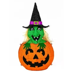 Kirklands Home Pre-lit Jack O Lantern Witch Outdoor Decoration