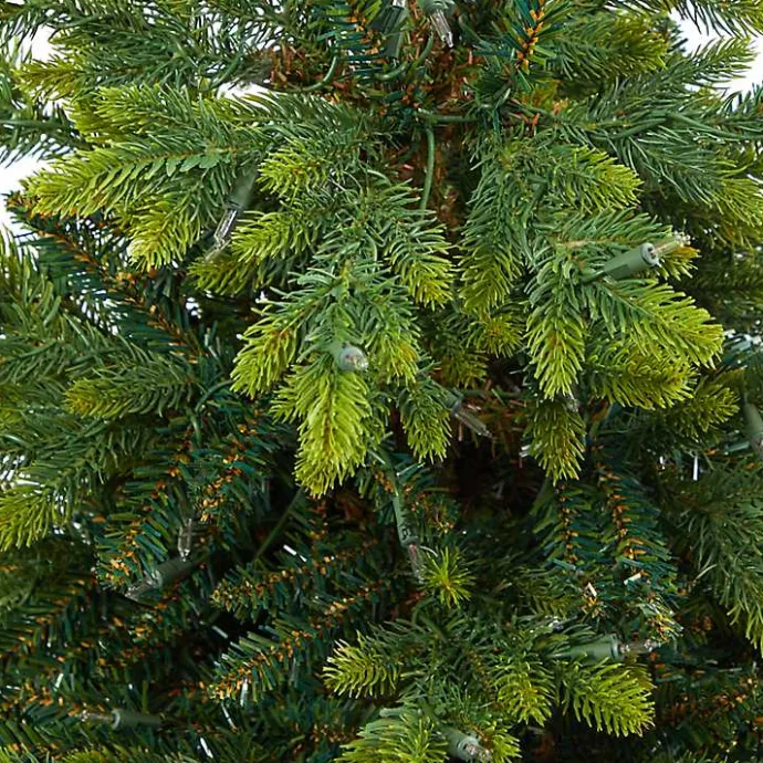 Discount Kirklands Home Pre-Lit North Carolina Fir Tree in Red Planter