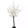 Outlet Kirklands Home Pre-Lit Warm LED Cherry Blossom Tree, 4 ft.