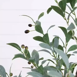 Best Kirklands Home Pre-Lit Warm LED Olive Tree, 4 ft.