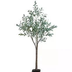 Outlet Kirklands Home Pre-Lit Warm LED Olive Tree, 5 ft.