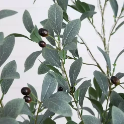 Outlet Kirklands Home Pre-Lit Warm LED Olive Tree, 5 ft.