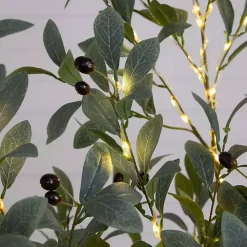 Outlet Kirklands Home Pre-Lit Warm LED Olive Tree, 5 ft.