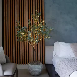 Outlet Kirklands Home Pre-Lit Warm LED Olive Tree, 5 ft.