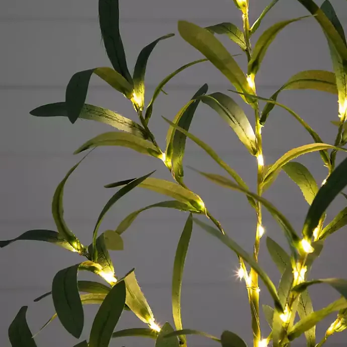 Best Kirklands Home Pre-Lit Warm LED Olive Tree, 2 ft.