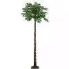 Outlet Kirklands Home Pre-Lit Warm LED Palm Tree, 6 ft.