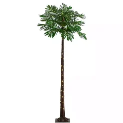 Outlet Kirklands Home Pre-Lit Warm LED Palm Tree, 6 ft.