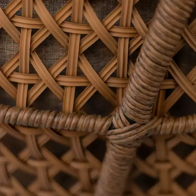 Discount Kirklands Home Rattan Scoop Chairs with Cushions, Set of 2