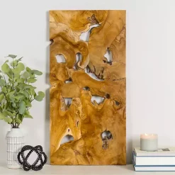 Kirklands Home Raw Teak Root Panel Wall Plaque Brown