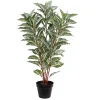 Sale Kirklands Home Real Touch Zebra Plant in Nursery Planter