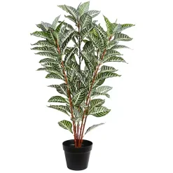 Sale Kirklands Home Real Touch Zebra Plant in Nursery Planter