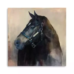Outlet Kirklands Home Ritzy Horse Canvas Art Print