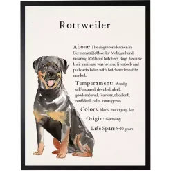 Sale Kirklands Home Rottweiler Facts Framed Wall Plaque