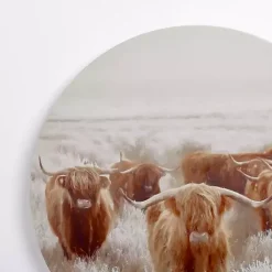 Kirklands Home Round Frosty Highland Cows Canvas Art Print