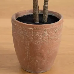 Clearance Kirklands Home Rubberwood Tree in Planter, 6 ft.