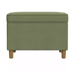 Hot Kirklands Home Sage Velvet Rectangle Storage Ottoman Green