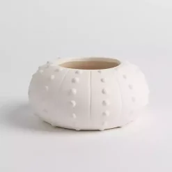 Sale Kirklands Home Salt and Driftwood Sea Urchin Jar Candle White