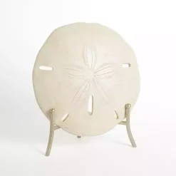 Hot Kirklands Home Sand Dollar Statue with Metal Sd Tan