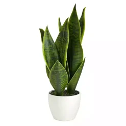 Online Kirklands Home Sansevieria Arrangement in White Planter