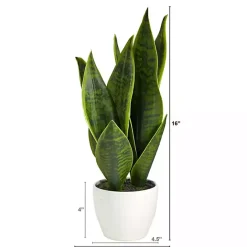 Online Kirklands Home Sansevieria Arrangement in White Planter