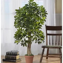 Sale Kirklands Home Schefflera Tree in Terra Cotta Planter, 4 ft.