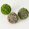 Best Kirklands Home Sedum Succulent Orbs, Set of 3