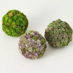 Best Kirklands Home Sedum Succulent Orbs, Set of 3