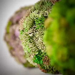 Best Kirklands Home Sedum Succulent Orbs, Set of 3