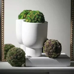 Best Kirklands Home Sedum Succulent Orbs, Set of 3