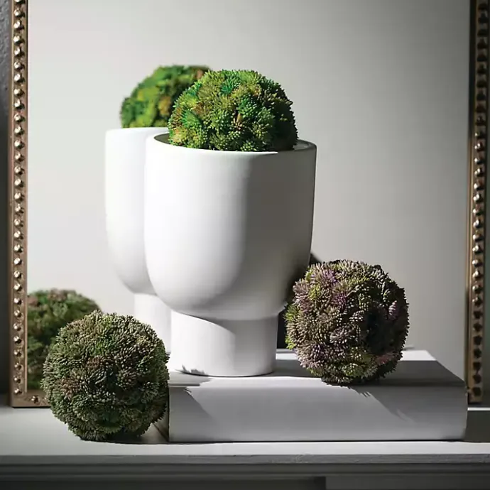 Best Kirklands Home Sedum Succulent Orbs, Set of 3