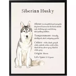Sale Kirklands Home Siberian Husky Facts Framed Wall Plaque