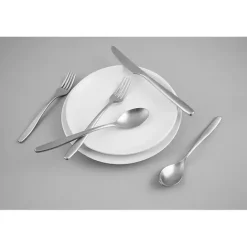 Online Kirklands Home Satin Metal Classic 20-pc. Flatware Set Silver