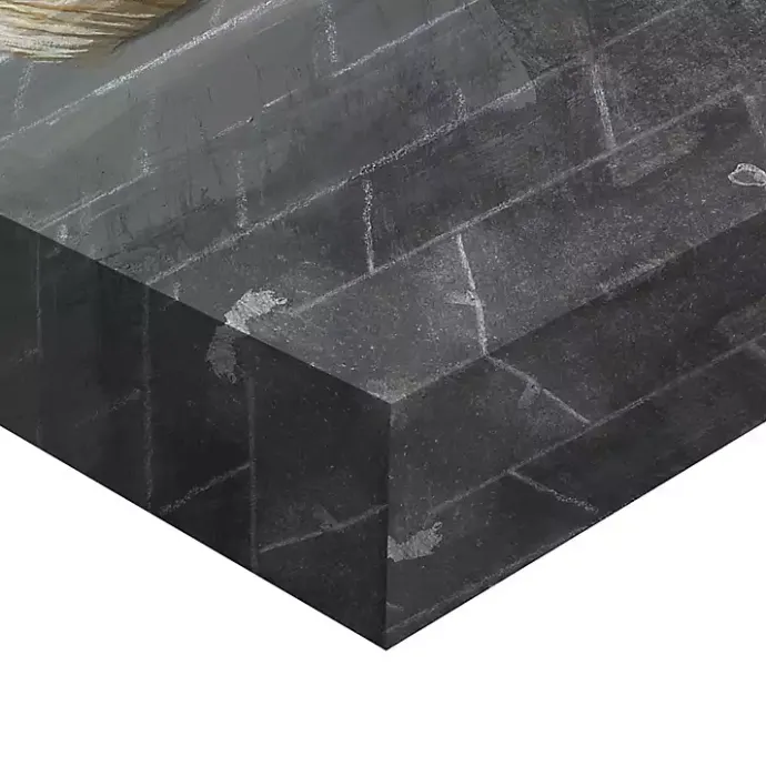 Clearance Kirklands Home Simple Pleasures Bath Canvas Art Prints, Set of 2