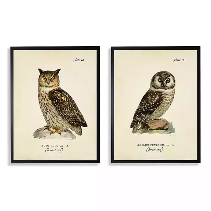 Sale Kirklands Home Sitting Owls Black Framed Art Prints, Set of 2 Brown