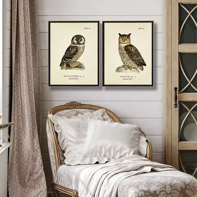 Sale Kirklands Home Sitting Owls Black Framed Art Prints, Set of 2 Brown